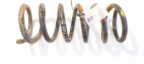 Rear coil spring