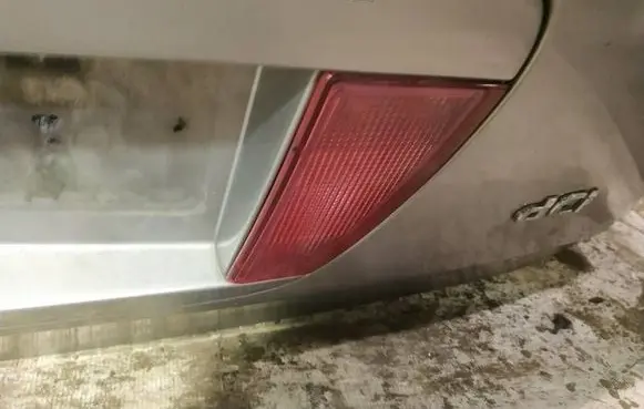 Nissan Primera Rear fog light 