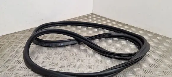 Renault Scenic IV - Grand scenic IV Loading door rubber seal (on body) 