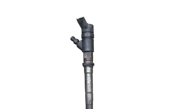 Fiat Ducato Fuel injector 0445110273 504088755