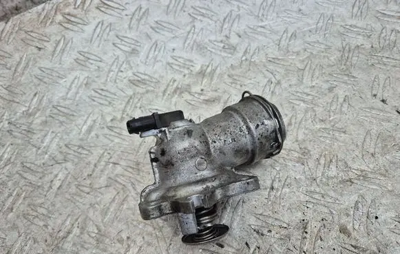 Thermostat/thermostat housing