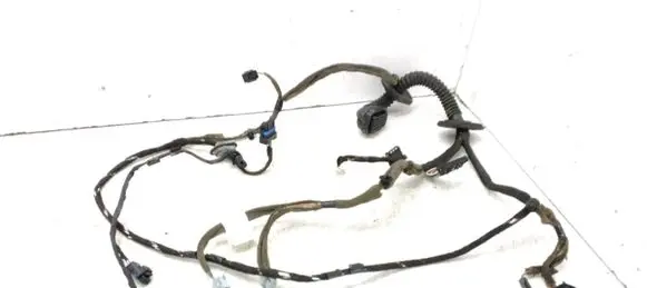 Renault Latitude (L70) Front door wiring loom 241253134R 48913061134R