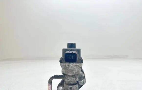 EGR valve