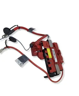 BMW 3 E92 E93 Positive wiring loom 6936649