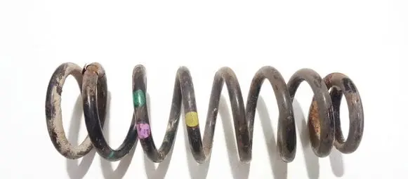 Rear coil spring