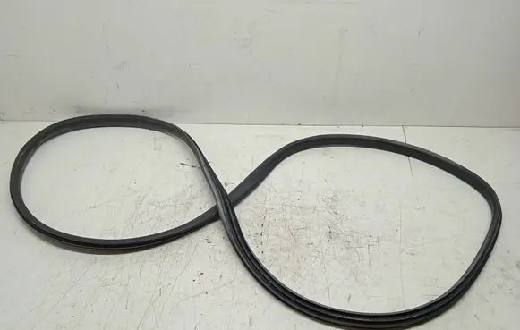Renault Scenic III - Grand scenic III Rear door rubber seal (on body) 