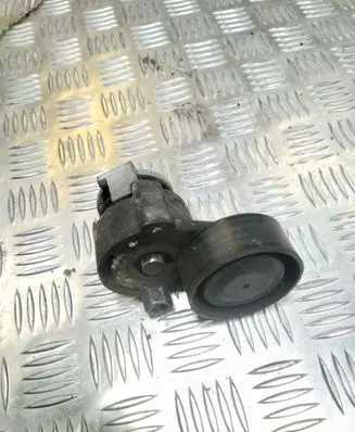 Nissan Juke I F15 Generator/alternator belt tensioner