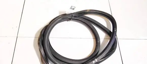 Volkswagen PASSAT B6 Rubber seal front coupe door 