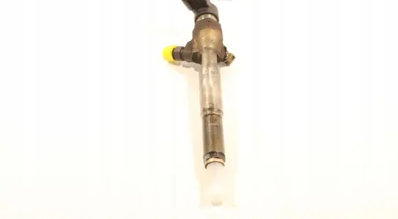 Renault Laguna III Fuel injector H8200294788
