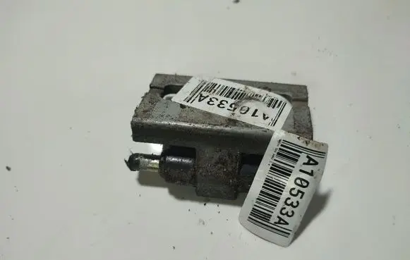 Volvo S60 Rear door lower hinge