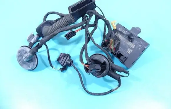 Rear door wiring loom