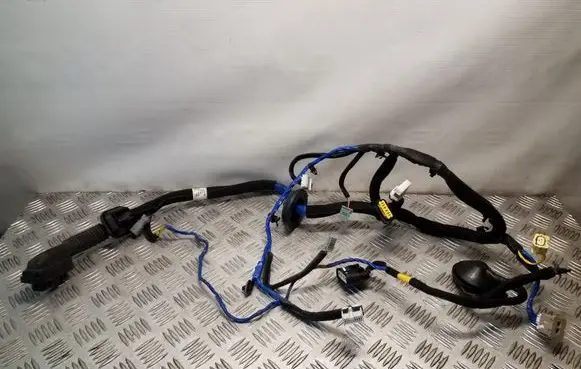 Hyundai Ioniq Front door wiring loom 91600G2960