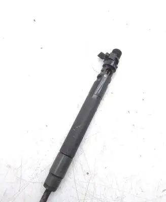 Peugeot 3008 I Fuel injector 9686191080