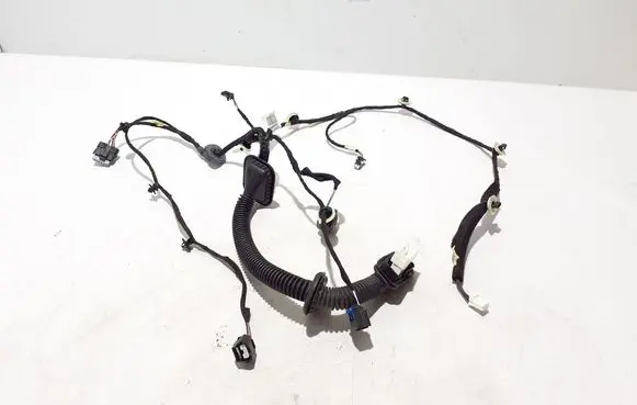 Renault Scenic E-Tech V Other wiring loom 241262252R