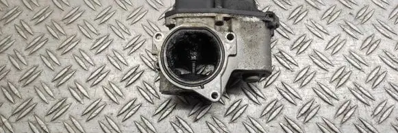 EGR valve