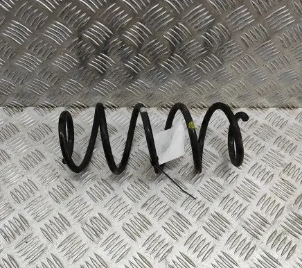 Rear coil spring