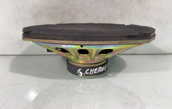Jeep Grand Cherokee (WK) Front door speaker