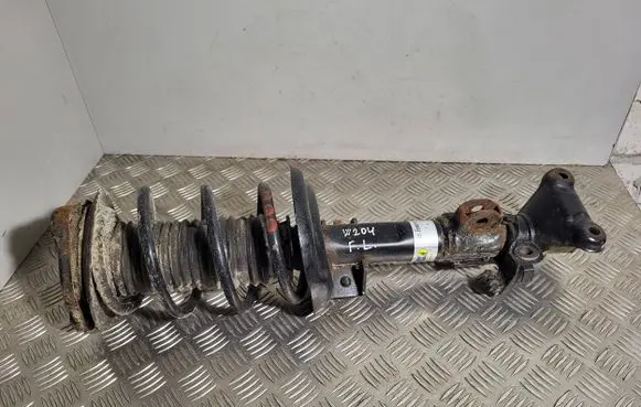 Mercedes-Benz C W204 Front shock absorber with coil spring 22196019