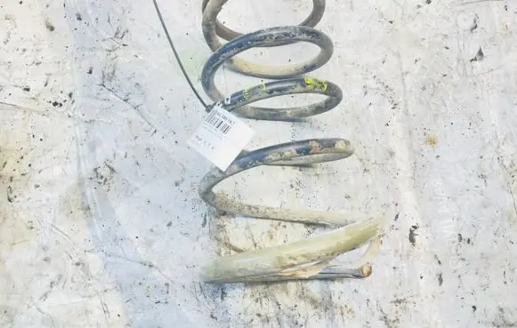 Nissan X-Trail T30 Rear coil spring