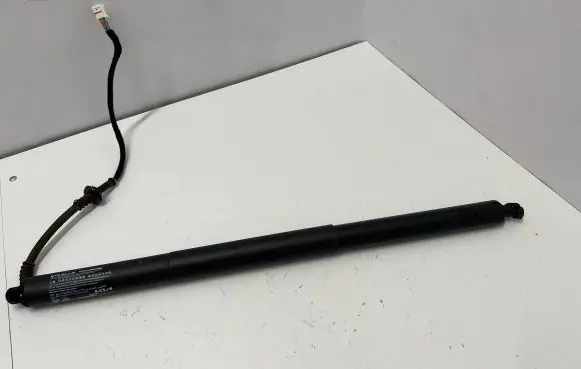 Tailgate strut