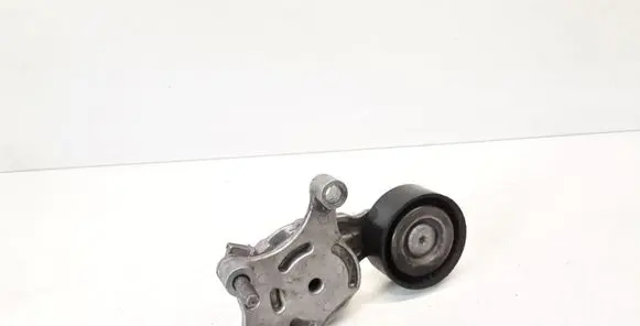 Peugeot 307 Generator/alternator belt tensioner 950007
