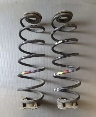 Rear coil spring