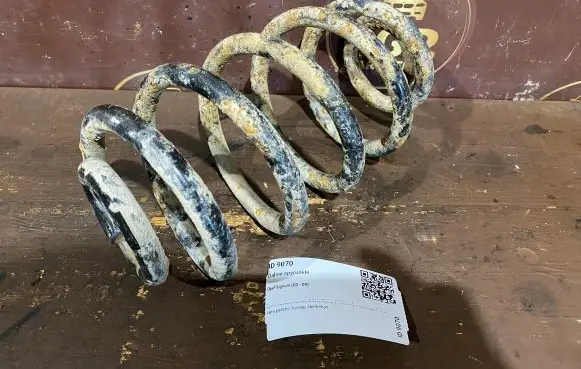 Opel Signum Rear coil spring