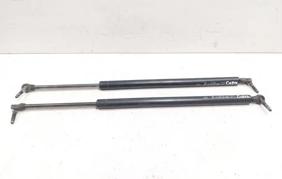 Chrysler PT Cruiser Tailgate/trunk strut/damper 17B111 F1690N