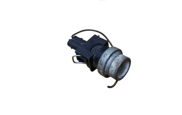 Ford Galaxy Coolant temperature sensor 251919501A