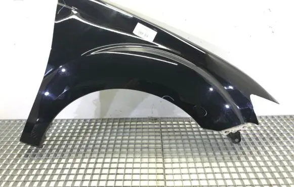 Fender