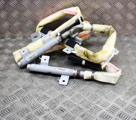 KIA Carnival Roof airbag 850204D500