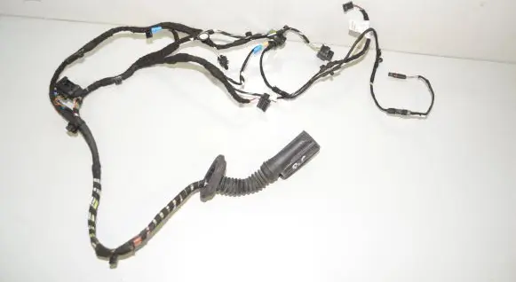 Front door wiring loom