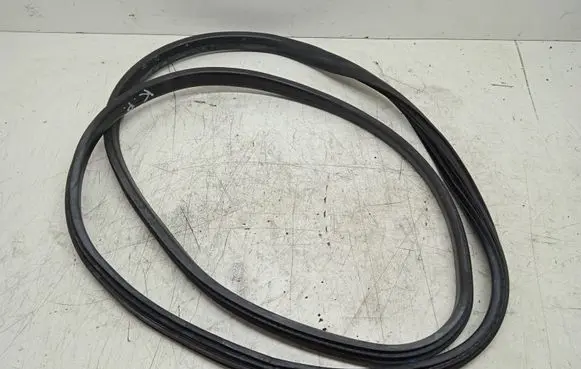 Renault Scenic III - Grand scenic III Rubber seal front door (on door) 