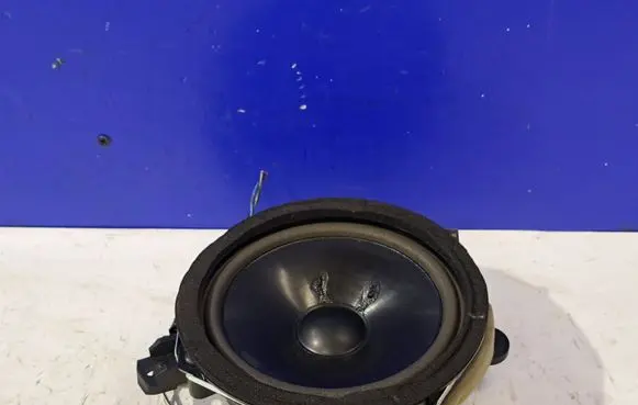 Front door speaker