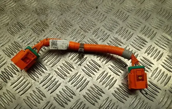 Mazda MX-30 Other wiring loom DN4J67V40