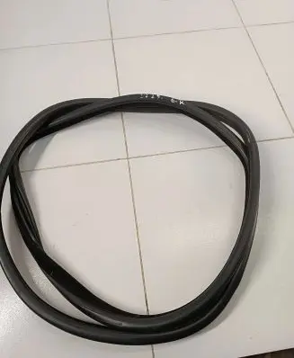 BMW X6 E71 Rubber seal rear door 7198442