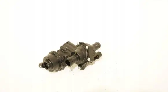 Renault Clio III Water pump Array