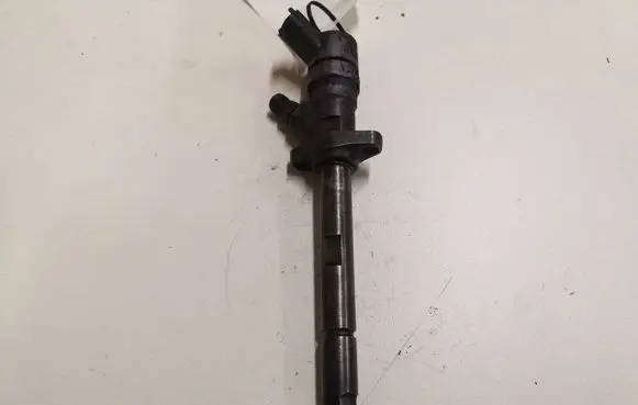 Peugeot 406 Fuel injector 0445110036 963777980