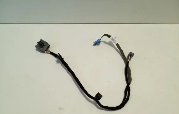 Rear door wiring loom