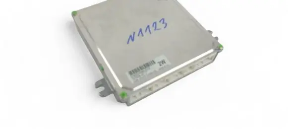 Engine control unit/module ECU
