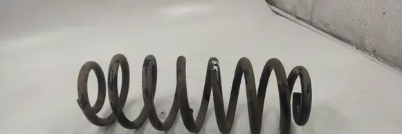 Rear coil spring