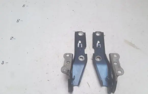 Audi A4 S4 B7 8E 8H Engine bonnet/hood hinges 