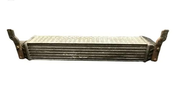 Volkswagen Sharan Intercooler radiator 7M3145805