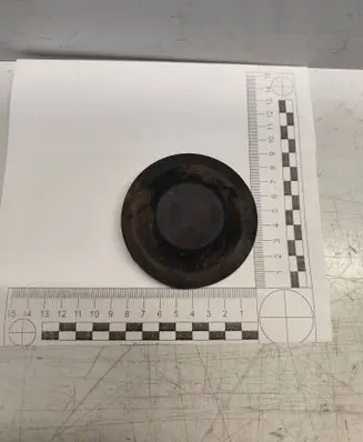 Headlight/headlamp dust cover
