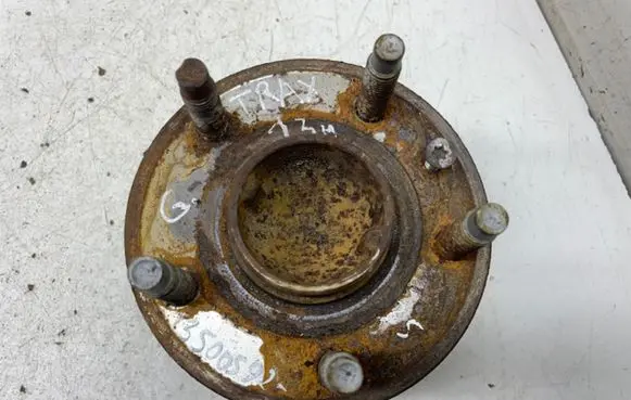 Chevrolet Trax Rear wheel hub 13500592