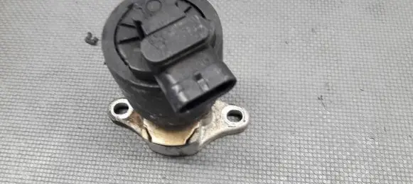 Opel Sintra EGR valve