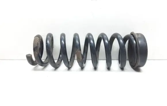 Rear coil spring