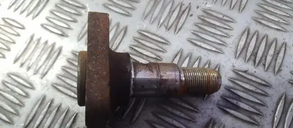 Renault Clio III Stub axle 