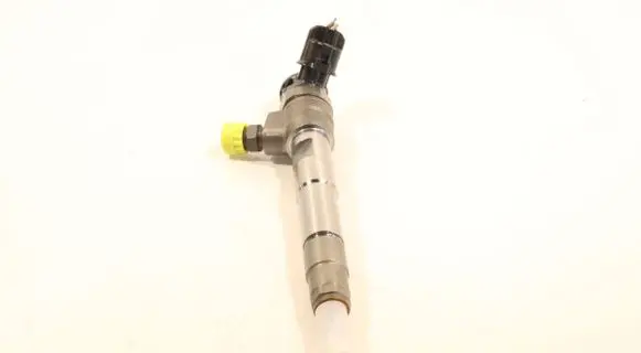 Renault Kangoo II Fuel injector 0445110800