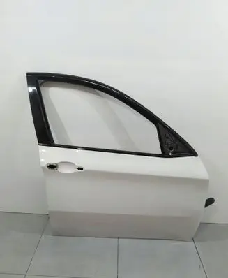 BMW X6 E71 Front door 